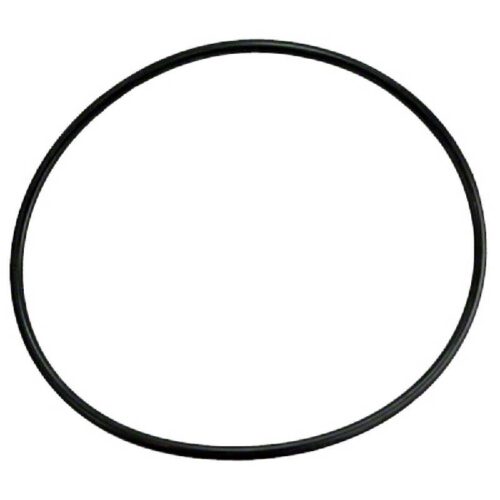 Waterway 805-0360 Filter Lid O-Ring