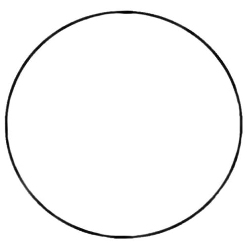 Waterway Plastics 805-0145B BAG 2" Slip Tailpiece O-Ring