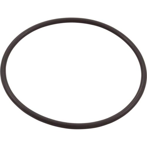A&A 523979 LeafVac Lid O-Ring