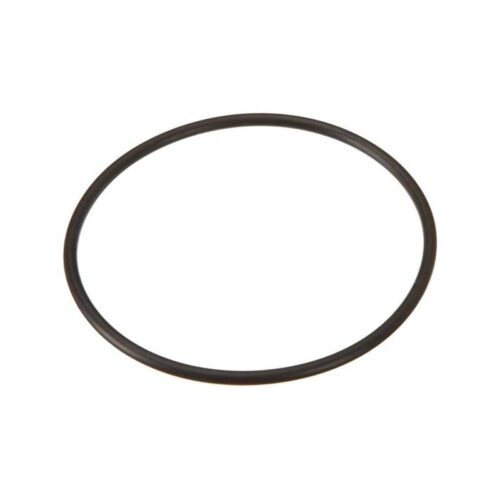 Hayward GLX-DIY-ORING DIY