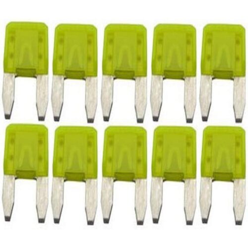 Hayward GLX-F20A-10PK 1