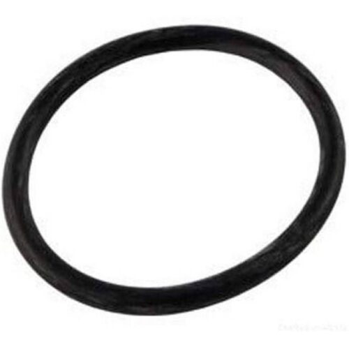 Hayward GLX-UNION-ORING