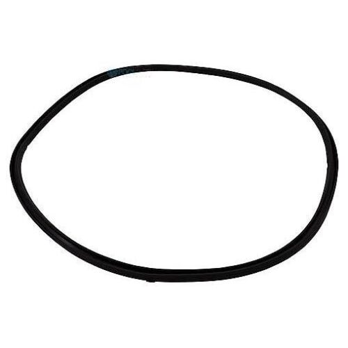 Hayward HCXFMCG1000 Manway Cover Gasket 1