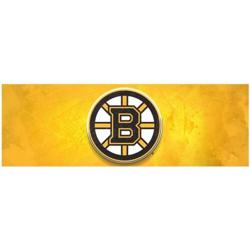 Imperial-Boston-Bruins-16-x-48-Glass-Wall-Art2