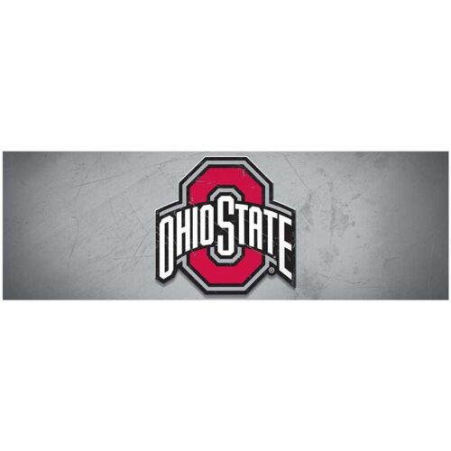 Imperial-Ohio-State-16-x-48-Glass-Wall-Art2