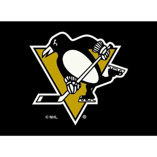 Imperial-Pittsburgh-Penguins-4-x-6-Spirit-Rug1
