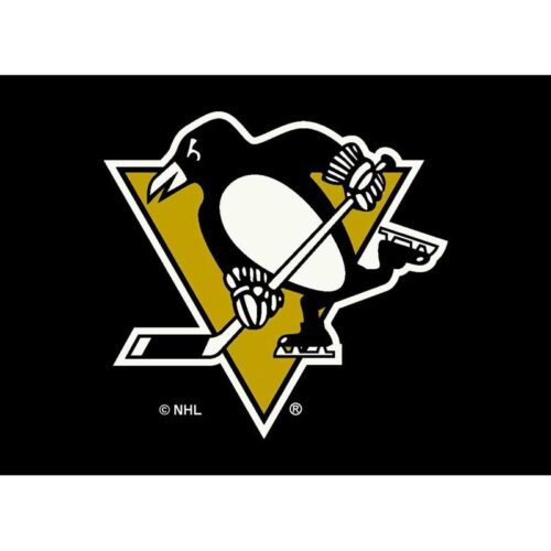 Imperial-Pittsburgh-Penguins-8-x-11-Spirit-Rug3