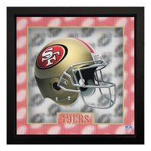 Imperial-San-Francisco-49ERS-5D-16-x-16-Framed-Wall-Art