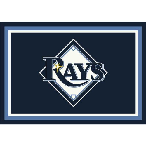 Imperial-Tampa-Bay-Devil-Rays-8-x-11-Spirit-Rug3