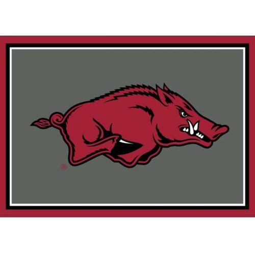 Imperial-University-of-Arkansas-3-x-4-Spirit-Rug3