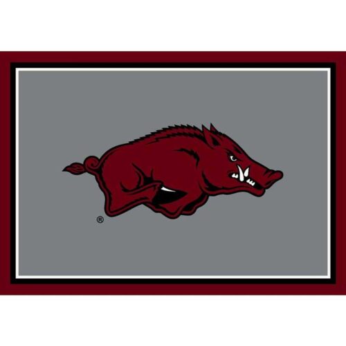 Imperial-University-of-Arkansas-4-x-6-Spirit-Rug1
