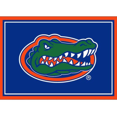 Imperial-University-of-Florida-3-x-4-Spirit-Rug3