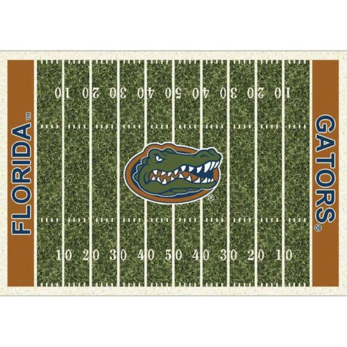 Imperial-University-of-Florida-4-x-6-Home-Field-Rug1