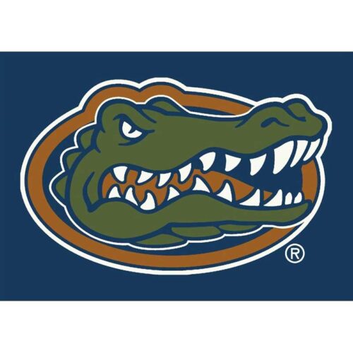 Imperial-University-of-Florida-4-x-6-Spirit-Rug1