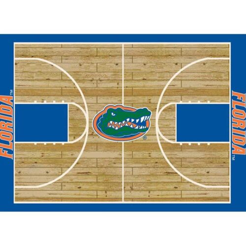 Imperial-University-of-Florida-6-x-8-Courtside-Rug1