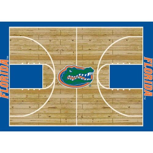 Imperial-University-of-Florida-8-x-11-Courtside-Rug1