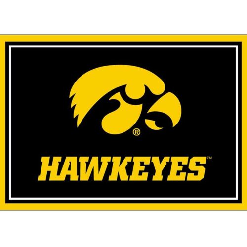 Imperial-University-of-Iowa-3-x-4-Spirit-Rug3