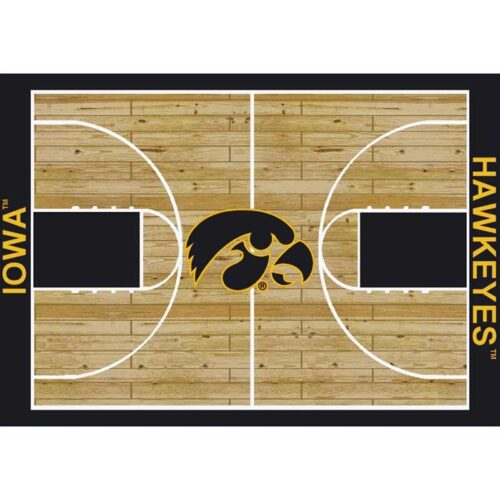 Imperial-University-of-Iowa-4-x-6-Courtside-Rug1
