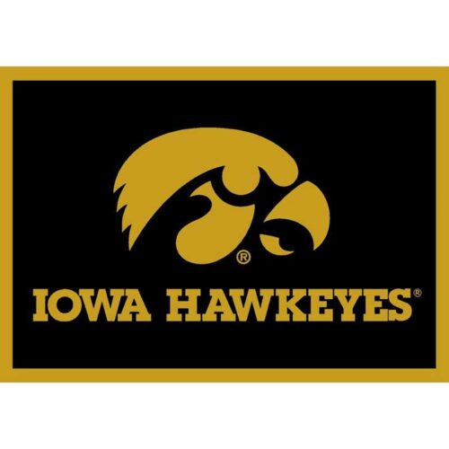 Imperial-University-of-Iowa-8-x-11-Spirit-Rug1