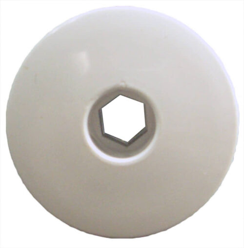 Waterway 215-9860 White 1" Ozone Wall Fitting