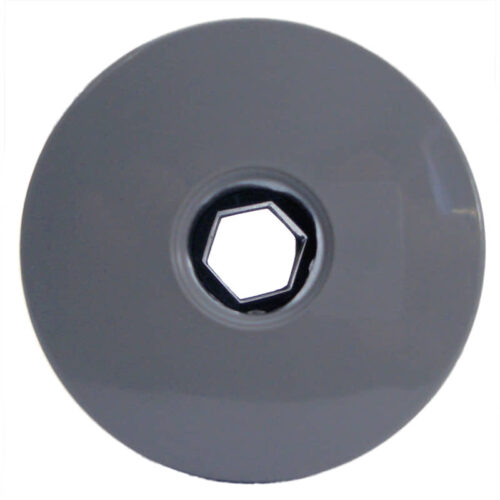 Waterway 215-9867 Gray 1" Ozone Wall Fitting