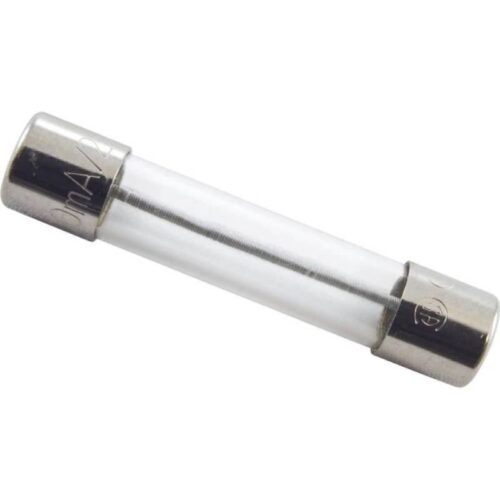 Balboa 21581 0.3 Amp Fast Blow Fuse