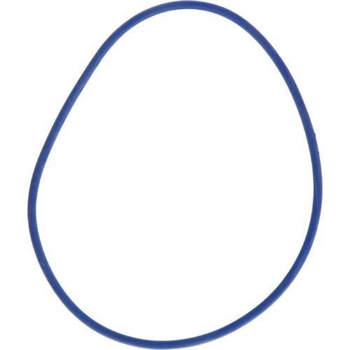 Zodiac R0479000 SHPSHPM_SWF Blue Pressure Test O-Ring 2