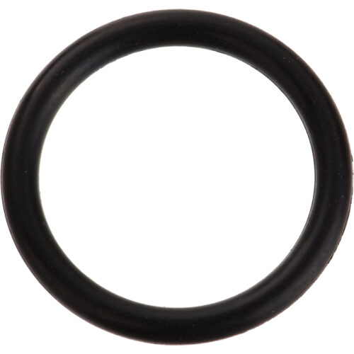Zodiac R0487100 Diverter Valve Shaft O-Ring 1