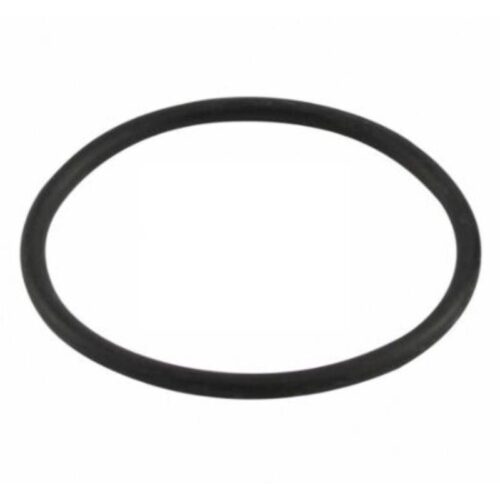 Zodiac R0622000 SHP/FHP Diffuser O-Ring 1