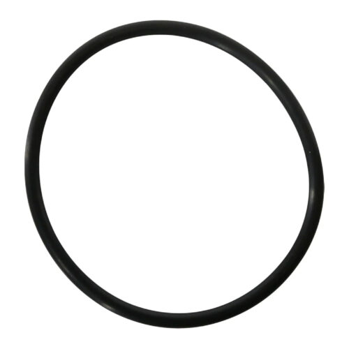 Zodiac R0694100 Truclear Cell O-Ring 1