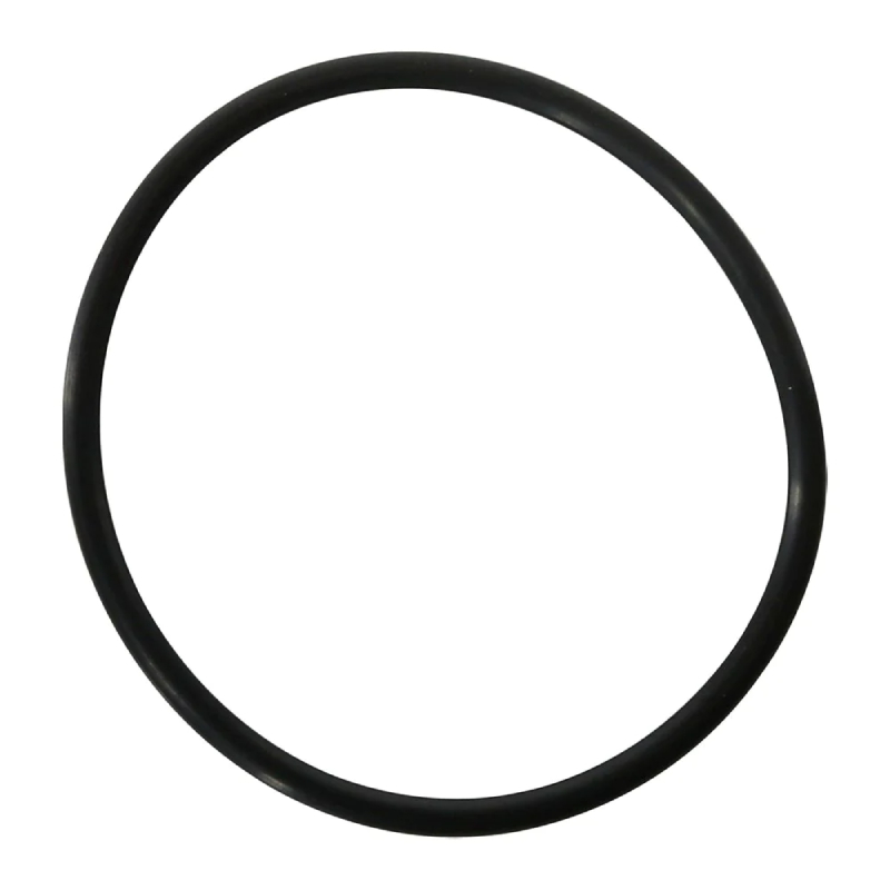Zodiac R0694100 Truclear Cell O-Ring 1