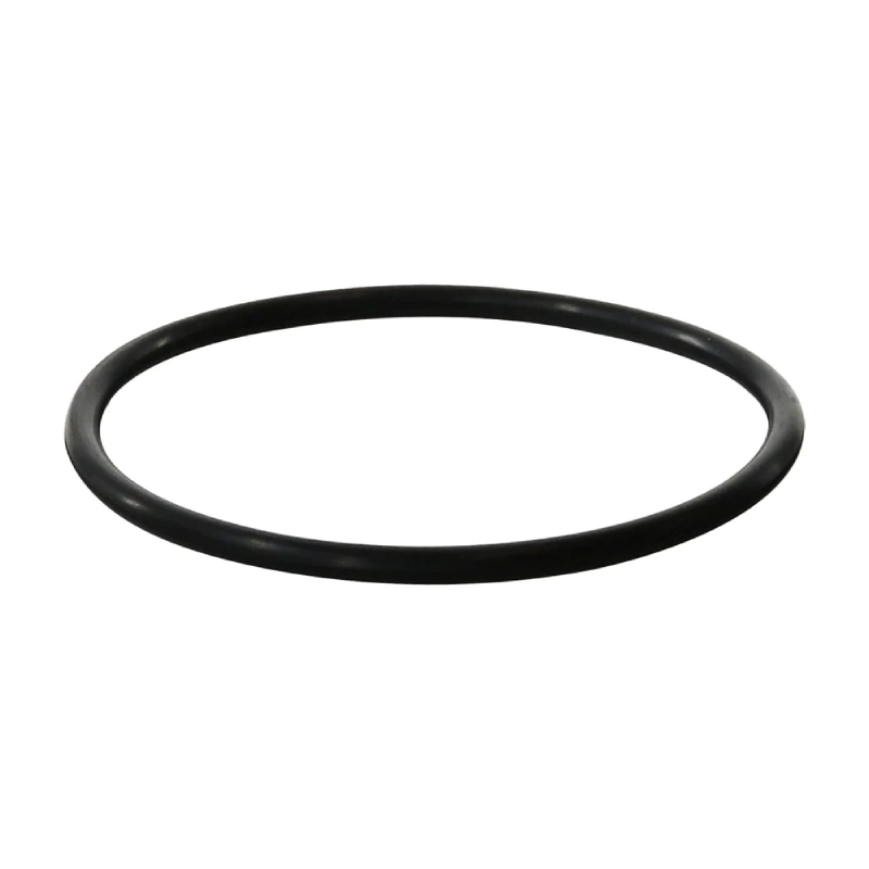 Zodiac R0694100 Truclear Cell O-Ring 3