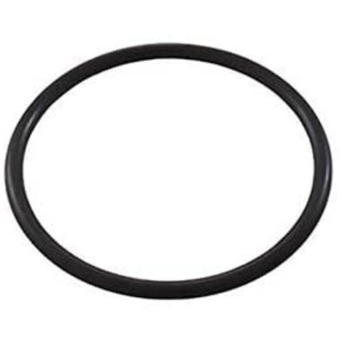 Zodiac R0738500 Aquapure EI Main O-Ring 1