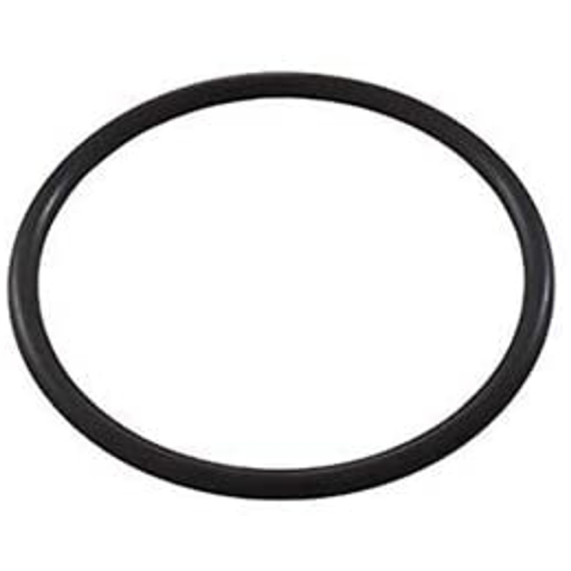 Zodiac R0738500 Aquapure EI Main O-Ring 1