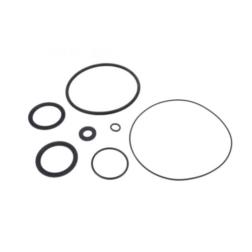 Fluidra AST4405010203 Sprint Strainer Lid O-Ring