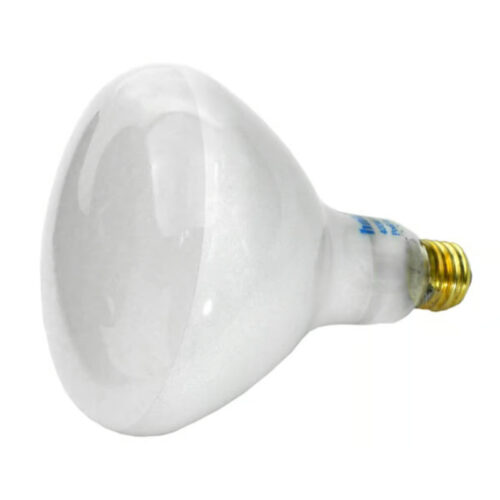 Feit Electric APC120400M 400W 120V 5"x3.5" 400R/FL Medium Base Bulb 1