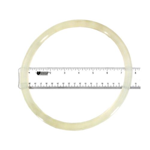 Fluidra AST740R1700120 O-Ring Lid 1