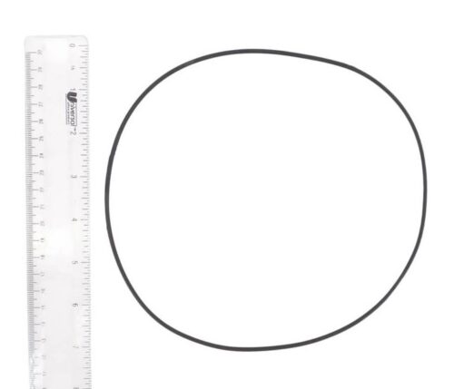 Fluidra 7731838026 Sprint Motor Clamp O-Ring