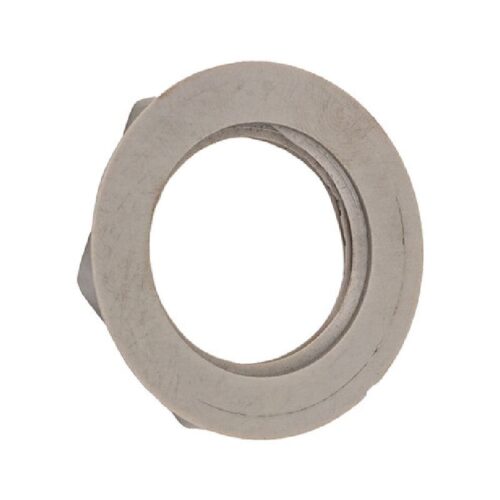 Neptune Benson 1000-2421 1IN Es20/Es40 National Pipe Thread Nut Lock 1