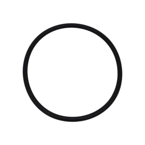 Neptune Benson 1000-2439 4IN Nut Body O-Ring 2