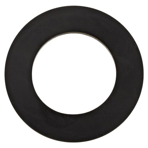Pentair-33455-1050-Spring-Check-Valve-Gasket2
