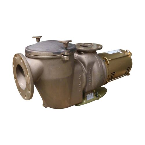 Pentair 347917 Commercial Pump