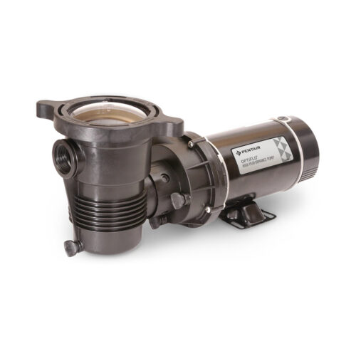 Pentair 348196 OptiFlo Vertical Discharge Pump