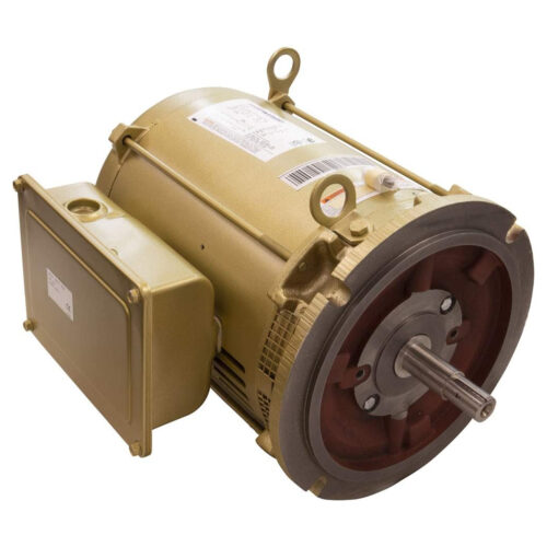 Pentair 357204S C-Series Motor