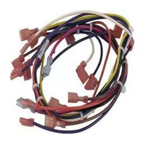Pentair-475112-Main-Wire-Harness