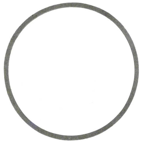 Pentair-C20-79-Sta-Rite-Gasket1