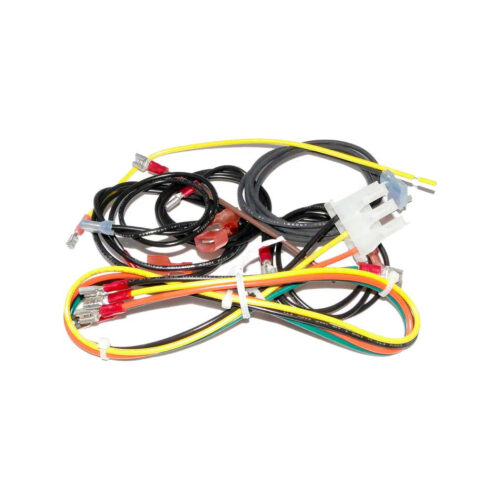 Raypak 004011F Wire Harness Kit