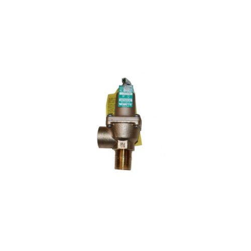 Raypak 007224F Pressure Relief Valve 3/4 In. NPT, 125 PSI 1