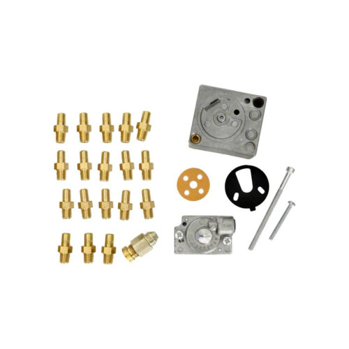 Raypak 010419F Conversion Kit