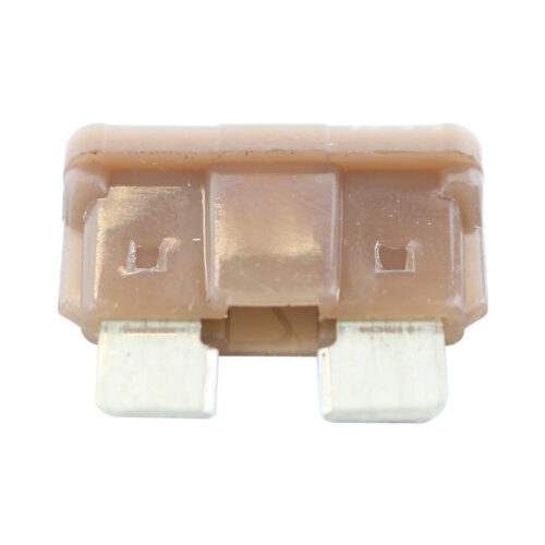 Raypak 013733F Fuse